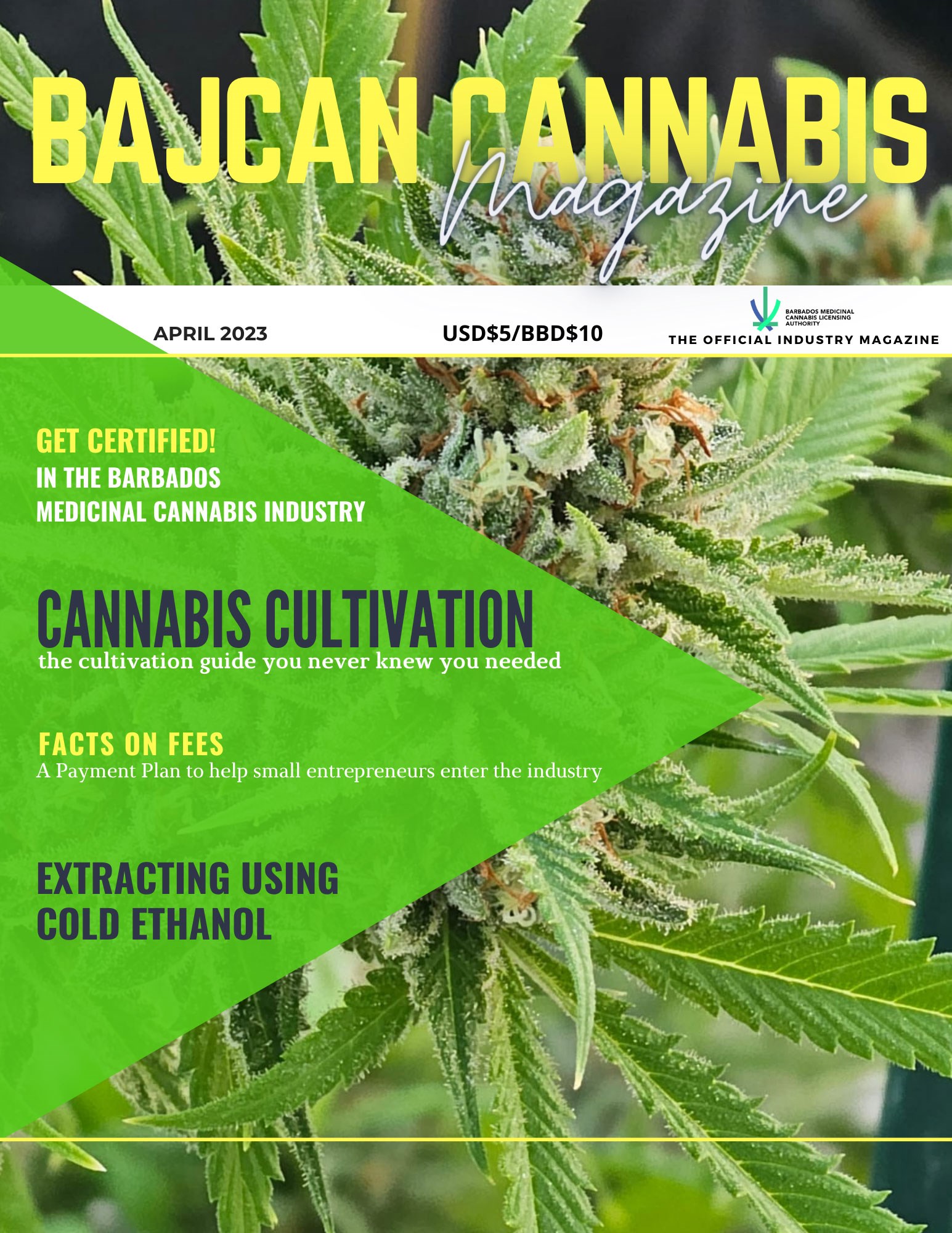 BAJCAN Cannabis Magazine - 1st Edition