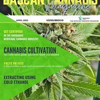 BAJCAN Cannabis Magazine - The Official Industry Magazine